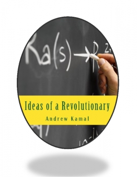Ideas of a Revolutionary 2nd Edition