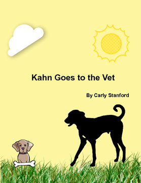 Kahn Goes to the Vet