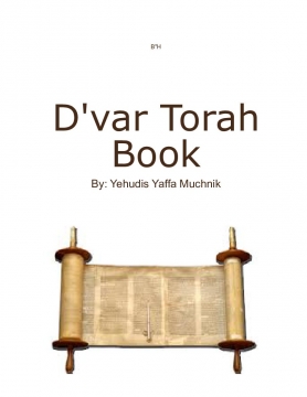 Yehudis Yaffa's D'var Torah Book