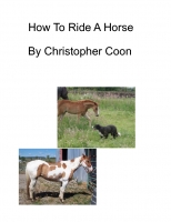 How To Ride A Horse