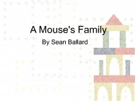 A Mouses Family