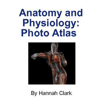Anatomy and Physiology Photo Altlas