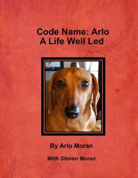Code Name: Arlo  