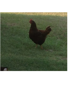 *
