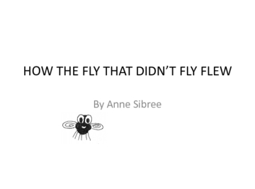 how the fly that didn't fly flew