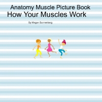 Anatomy Muscles