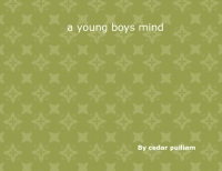 an young boys mind