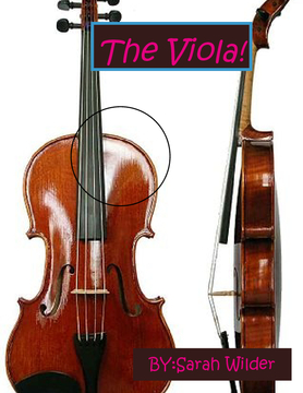 The viola