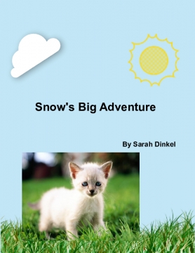 Snow's Big Adventure