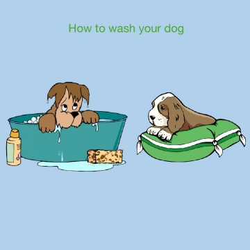 How to wash a dog