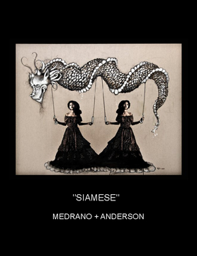 MEDRANO + ANDERSON "SIAMESE"