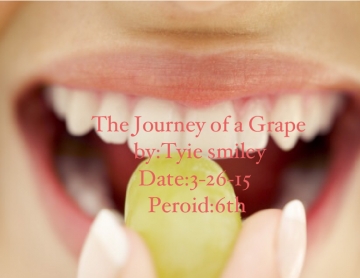 The Journey of a Grape