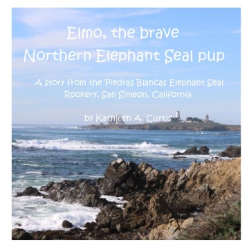 Elmo, the Brave Northen Elephant Seal pup