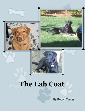 The Lab Coat