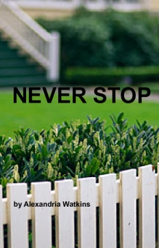 Never Stop