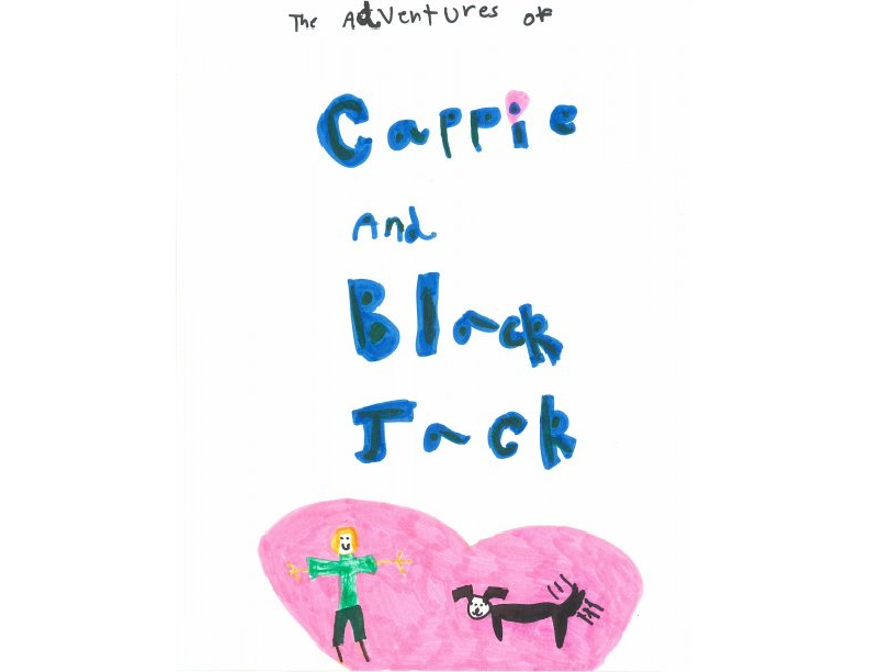 book cover