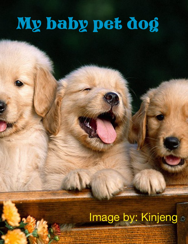 book cover