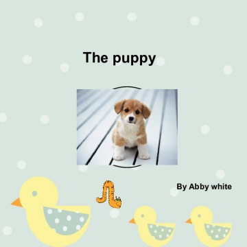 The puppy