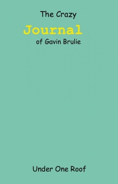The Crazy Journal of Gavin Brulie