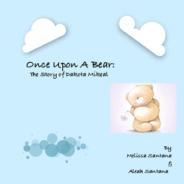 Once Upon A Bear