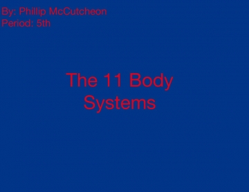 The 11 Body Systems