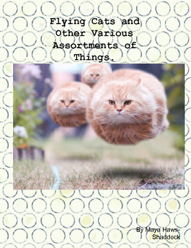 Flying Cats and Assortments of Other Things