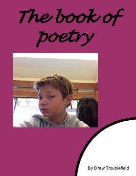 The book of poetry