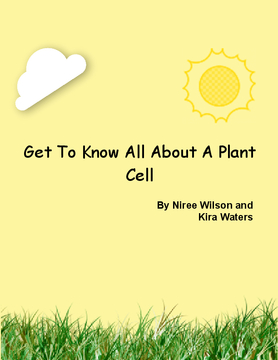Get To Know All About A Plant Cell!