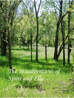 The Misadventures of Spirit and Ella
