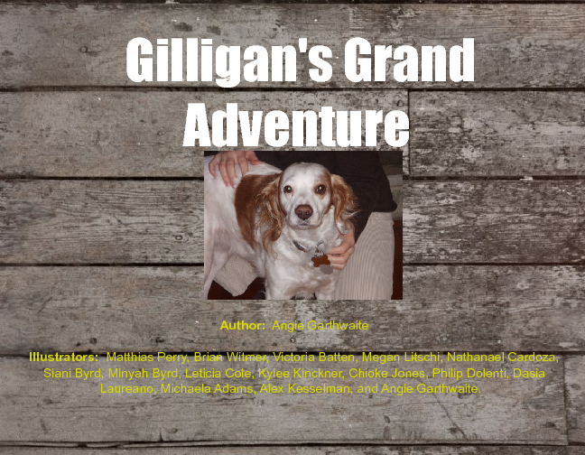 book cover