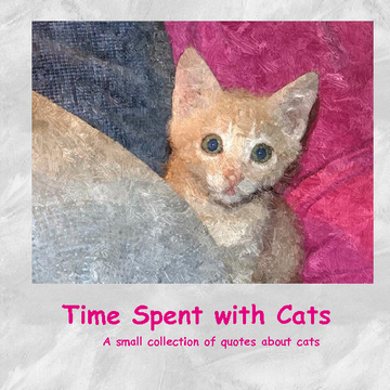 Time Spent with Cats