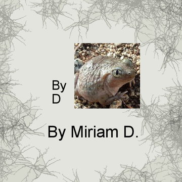 Miriam D.