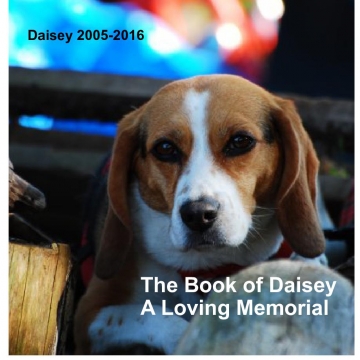 The Book of Daisey