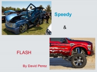 Speedy and Flash