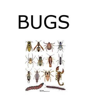 BUGS