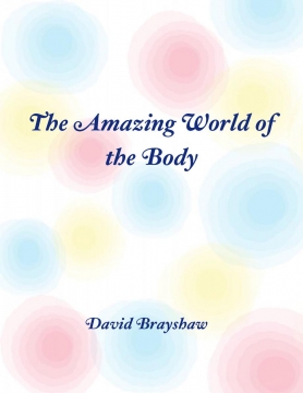 The amazing world of the body