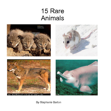 15 Rare Animals