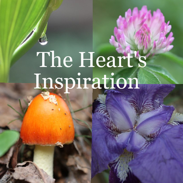 The Heart's Inspiration
