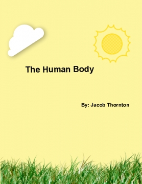 The Human Body