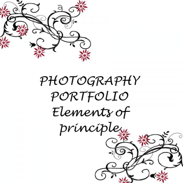 Photography portfolio