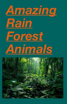 Amazing Rain Forest Animals