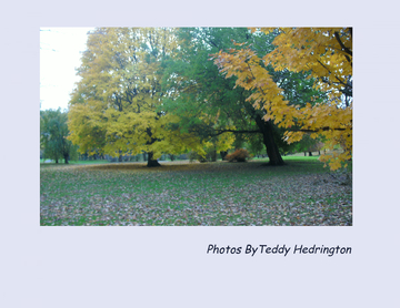 Autumn  fall Photos, Washington Park Albany NY