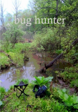 Bug Hunter