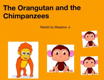 The orangutan and the chimpanzee