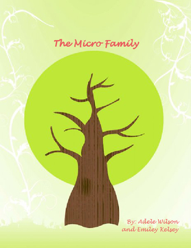 The Micro Family