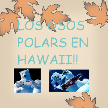 Osos Polars en Hawaii