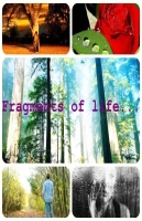Fragments of life.
