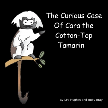The Curious Case Of Cara the Cotton-Top Tamarin