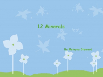 12 Minerals