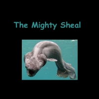 The Sheal